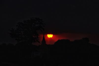 Silhouette of trees at sunset