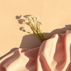 Close-up of hand on plant by wall at home