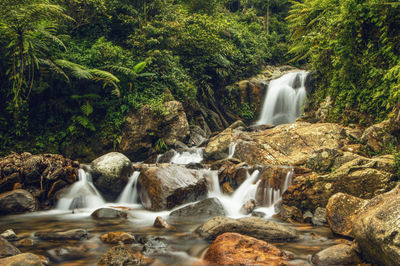 View of waterfall in forest