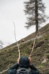 Man on tree by mountain against sky