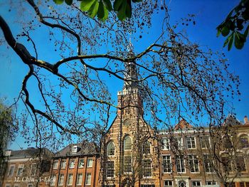 Low angle view of building against blue sky