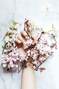 Close-up of white cherry blossom