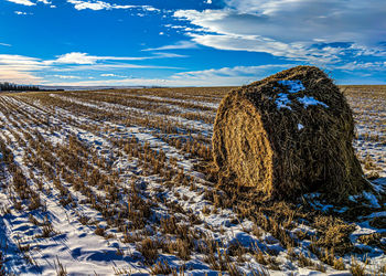 A lonely hay bale sits in an empty farm field. with blue skies above.