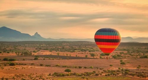 Hot air balloon flying over land against sky during dawn