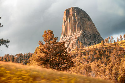 Low angle view of trees on mountain against sky