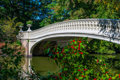 Arch bridge over canal against trees