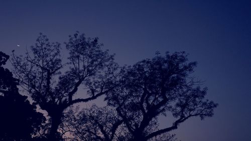 Low angle view of silhouette tree against clear blue sky