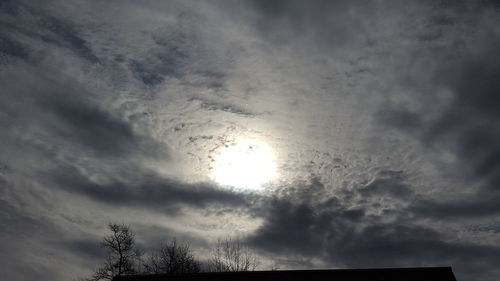 Low angle view of silhouette trees against sky