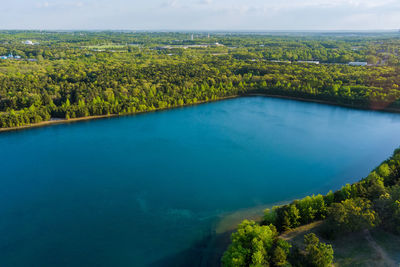 Scenic view of lake amidst trees in forest against sky