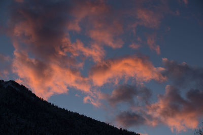 Low angle view of silhouette trees against sky during sunset