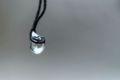 Water drop on barbed wire