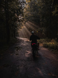 Rear view of man riding bicycle on road