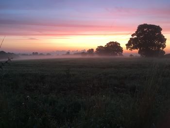 Scenic view of field against sky during sunset