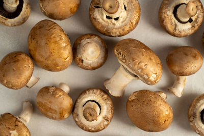 Close-up of food