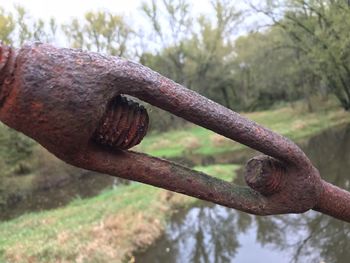 Close-up of rusty metal