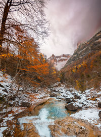 River amidst trees against sky during winter