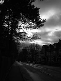 Road passing through bare trees