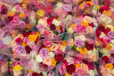 High angle view of various flowers on display