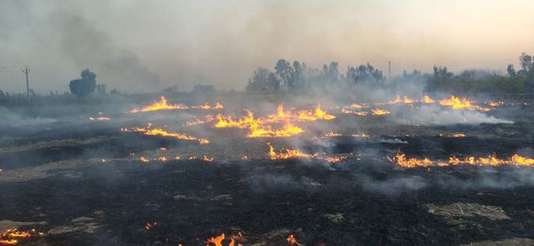 Aerial view of bonfire