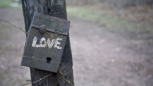 Close-up of rusty sign on tree trunk