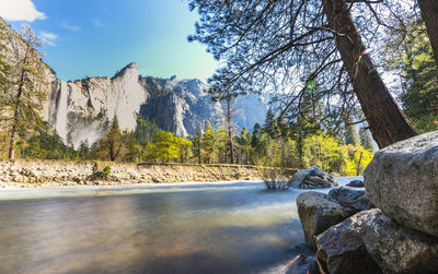 Scenic view of river amidst trees against sky