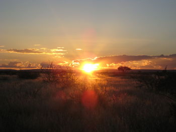 Scenic view of silhouette field against sky during sunset