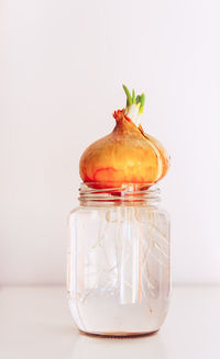 Onion with green sprouts in a glass jar.