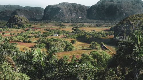 Scenic view of field against mountains