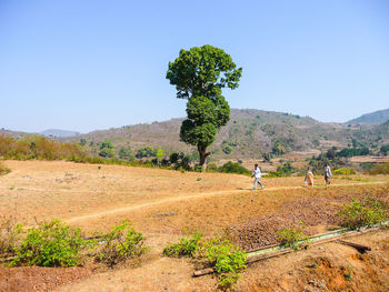 People walking on field against clear sky during sunny day