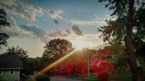 Sun shining through trees