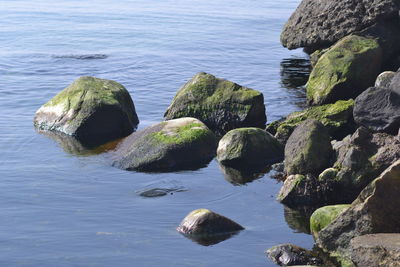 High angle view of rocks at sea