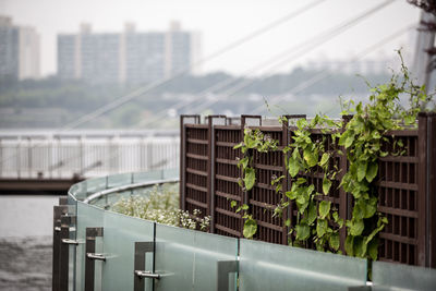 Fence by han river