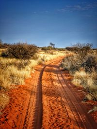 Dirt road amidst field against sky