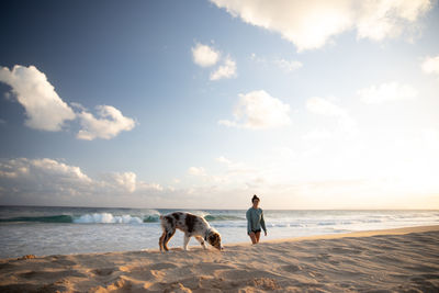 Dog on beach against sky