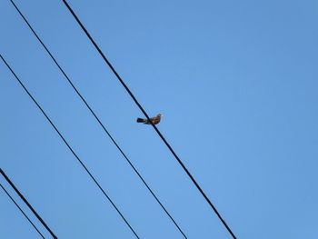 Low angle view of airplane flying against clear blue sky