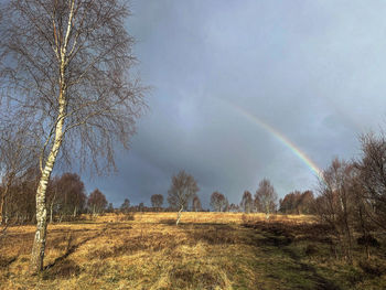 Scenic view of field against rainbow in sky