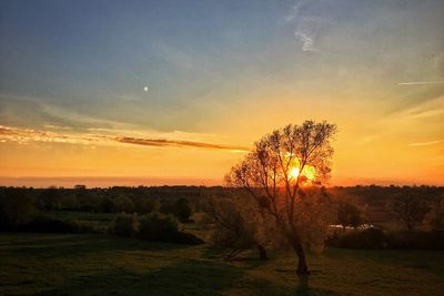 Scenic view of landscape at sunset