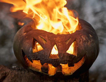 Close-up of pumpkin on wood