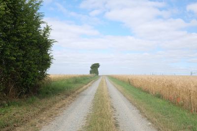 Road passing through field