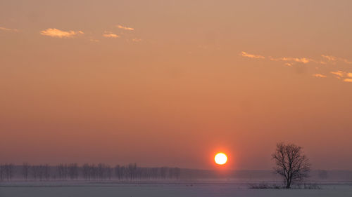 Scenic view of silhouette landscape against orange sky