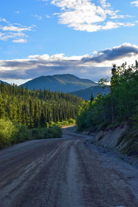 Road amidst trees against sky