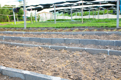 soil