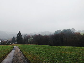 Scenic view of grassy field against sky