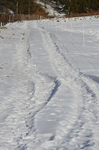 Snow covered landscape