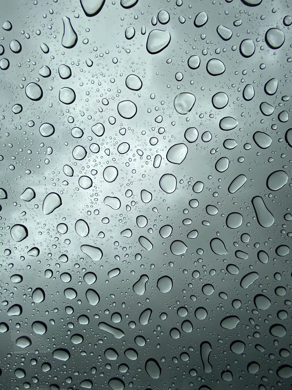 drop, wet, water, rain, backgrounds, full frame, black and white, raindrop, no people, close-up, glass, window, monochrome, transparent, pattern, nature, indoors, rainy season, drizzle, textured, monsoon, monochrome photography, day, circle