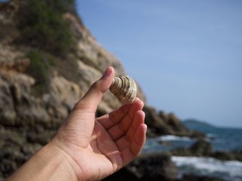 Cropped hand holding seashell