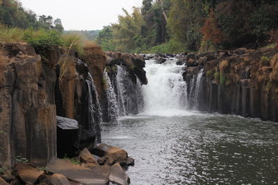 Scenic view of waterfall in forest