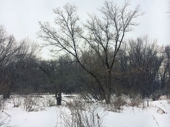 Scenic view of snow covered landscape