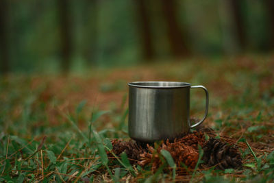 Coffee cup on plant in field