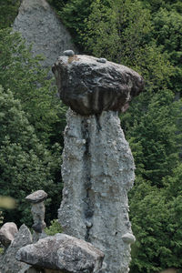 Stone sculpture on rock in forest